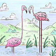 Flamingos Illustration