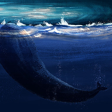 Whale On A Stormy Evening