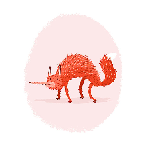 Fox