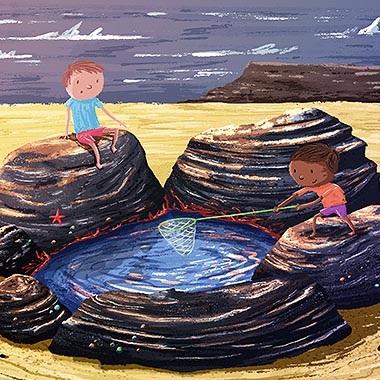 Rock Pool Illustration