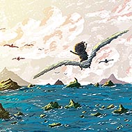 Seagull Journey