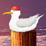 Seagull In A Hat