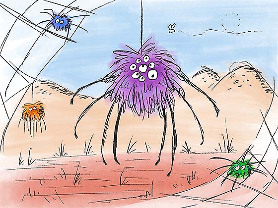 Spiders Illustration