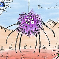 Spider Illustration