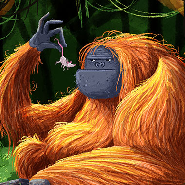 The Orangutan And The Mouse